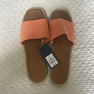 Brand new slides